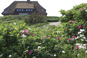 Een huis met rieten dak, omgeven door een tuin met diverse bloemen en begroeiing.
