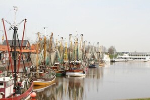 Ein Hafen mit mehreren vertäuten Fischerbooten.