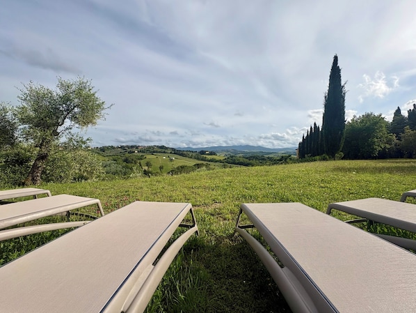 A grassy field with lounge chairs and a view of rolling hills and a tall tree. - Luxury Villa with Panoramic Terrace - 5 rooms (Toscana)