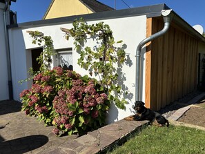 Ein Haus mit Garten, Holzzaun und Hund.