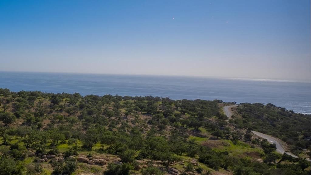 Paisagem costeira com estrada sinuosa, vegetação densa e vista clara para o mar.