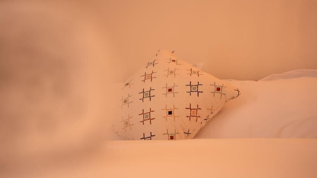 A pillow with a geometric pattern.