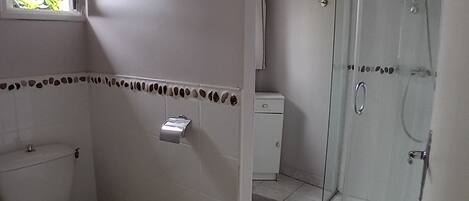 Shower, hair dryer