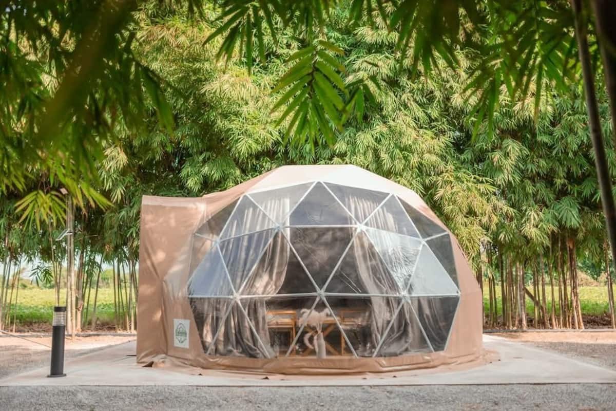 A geodesic dome structure with a transparent side, surrounded by palm trees.