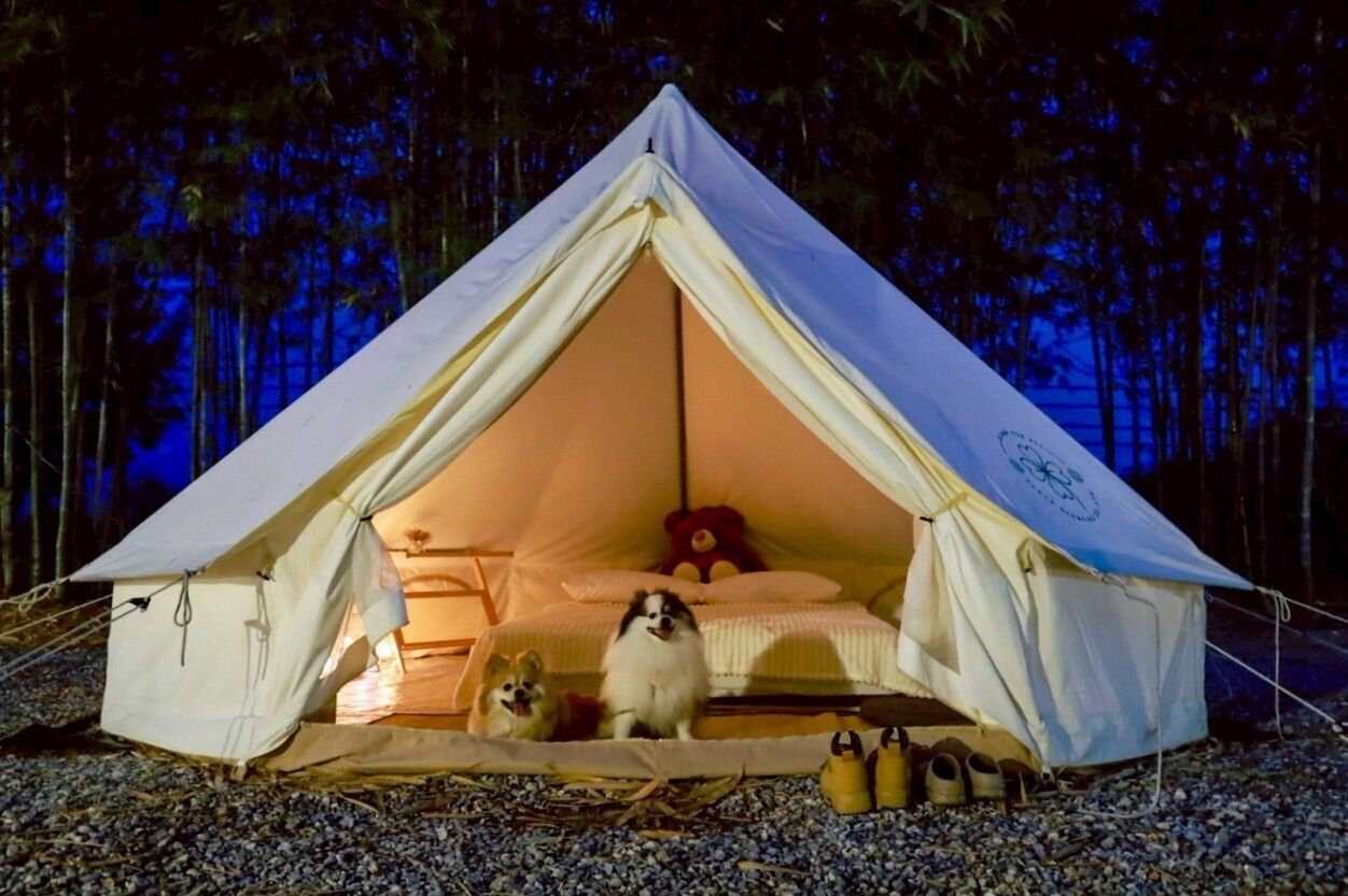 Tienda de campaña con zona de dormir y un perro adentro.