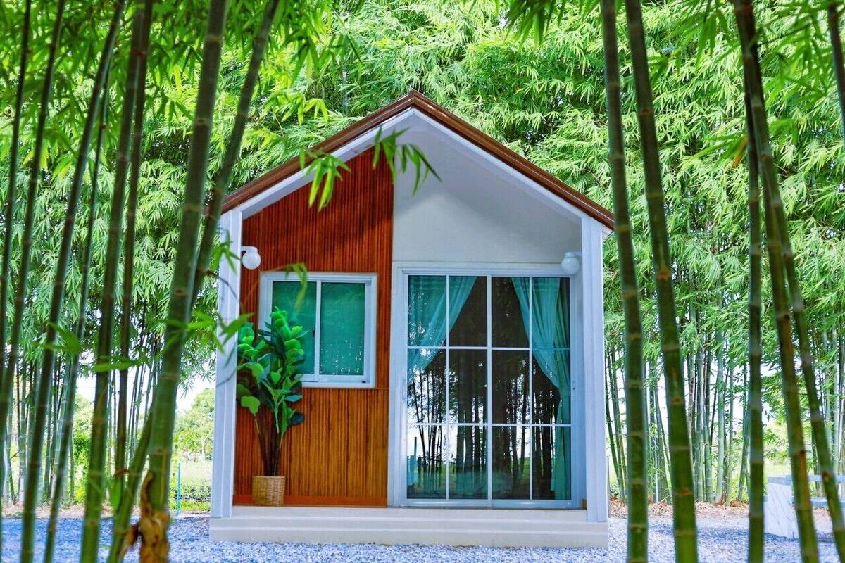 A small wooden cabin with a large window and a door, surrounded by bamboo trees.