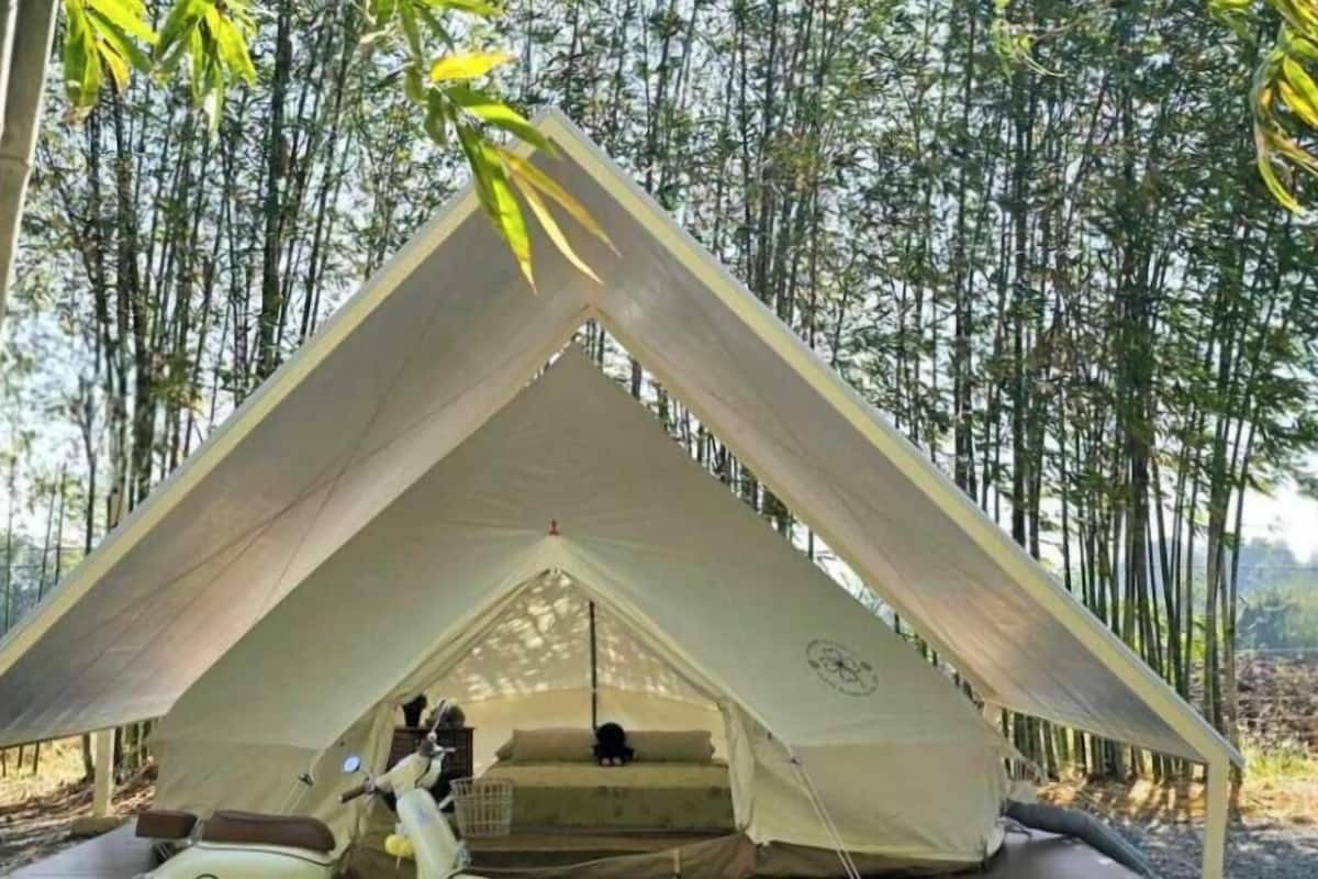 A large, triangular tent with a flat interior, surrounded by bamboo trees.