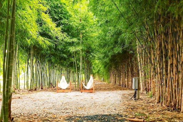 Un sendero bordeado de bambú que conduce a un espacio de descanso con dos sillas blancas.