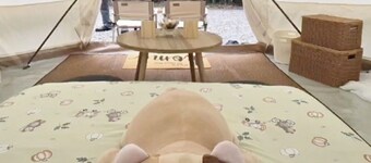 Rest Time Bamboo