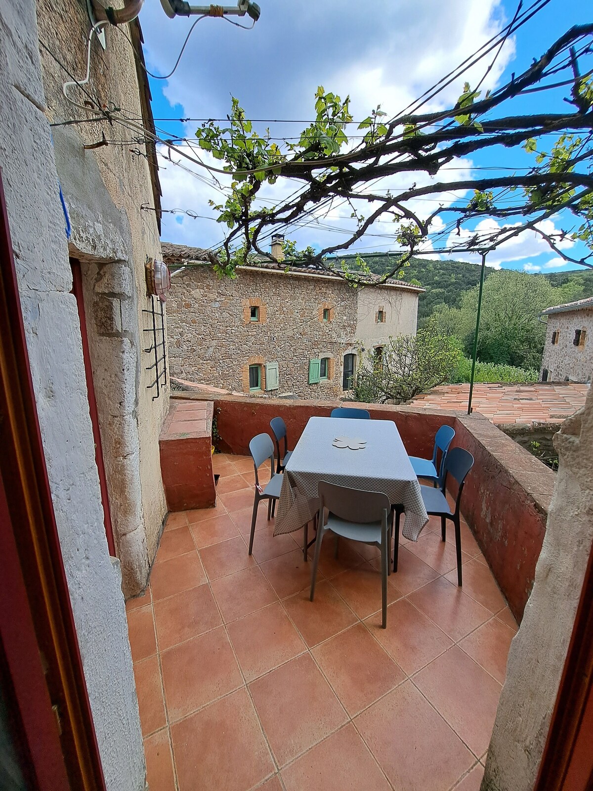 Image de profil de l’hôte