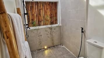 Shower, hair dryer, towels, soap