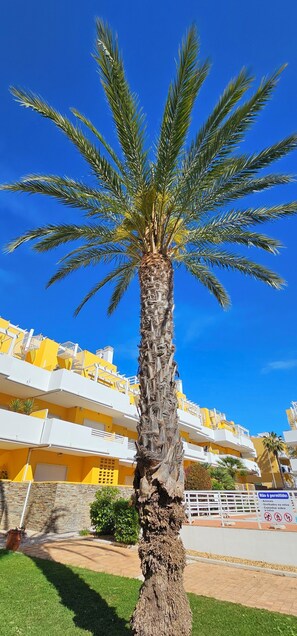 Property grounds - Palmview Penthouse Algarve - sea view, pool, golf & fantastic roof terrace (Conceicao de Tavira)