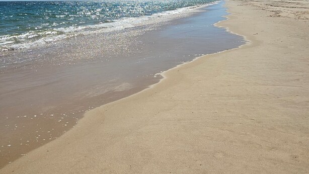 En strand med klar himmel, stilla hav och en sandstrand.