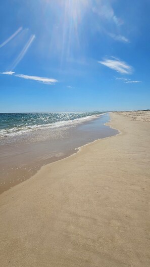 Een strand met een heldere lucht, rustige zee en een zandstrand.