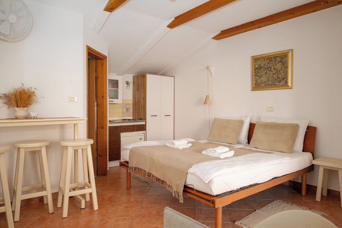 Estudio económico, balcón, vista al jardín | Wifi gratis y ropa de cama 
