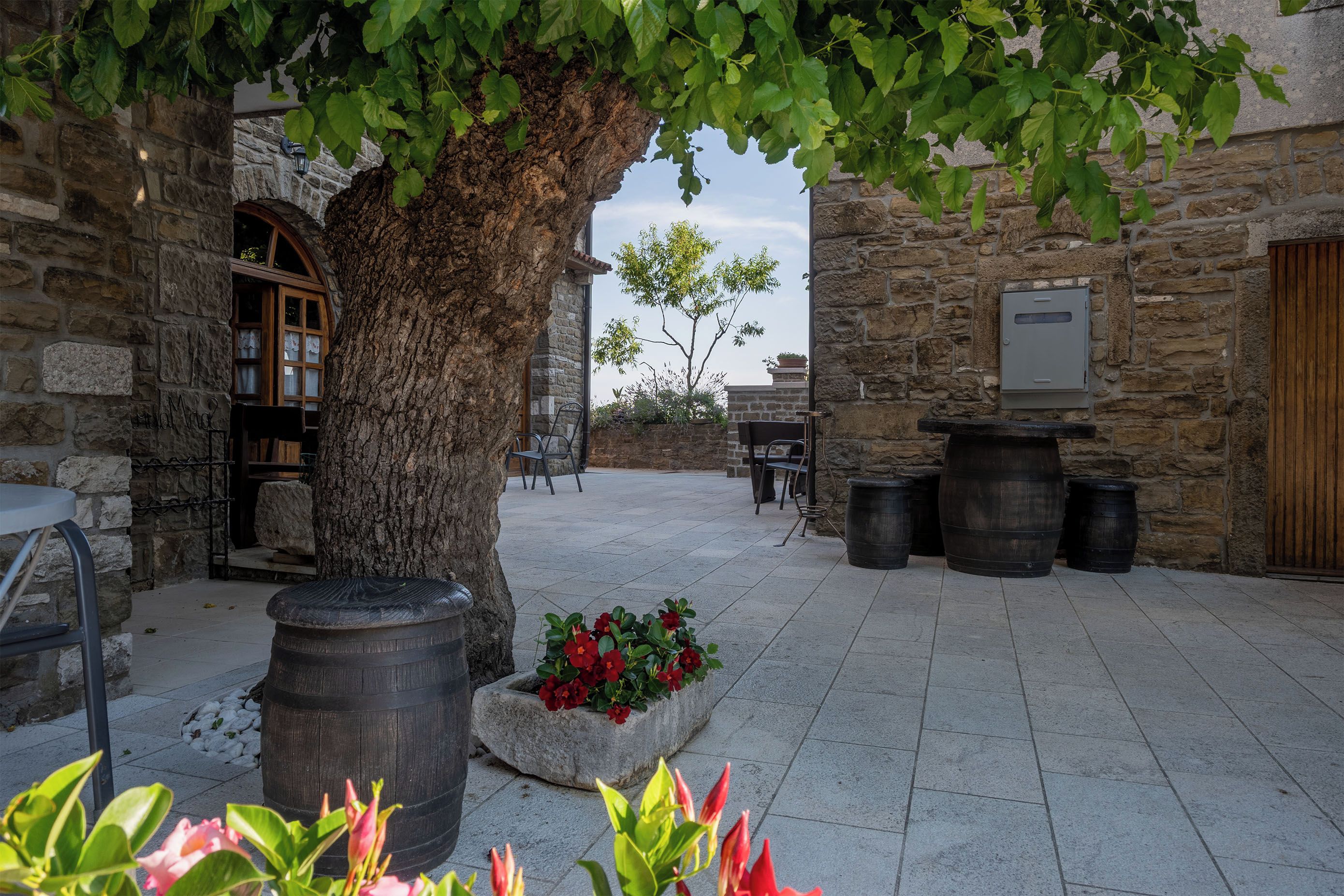 Une cour bordée de murs en pierre, un grand arbre, des sièges d’extérieur et un pot de fleurs orné de fleurs rouges.