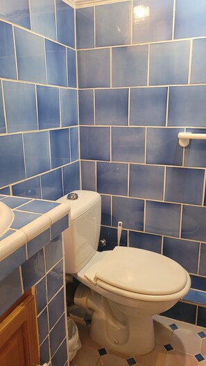Shower, hair dryer, towels - Bed and Breakfast 'La Fontaine' with Mountain View, Shared Terrace and Wi-Fi (Bargème)