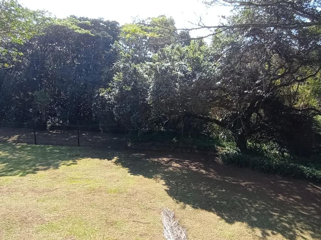 A grassy area with trees and a fence in the background.