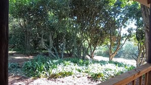 Une terrasse en bois offrant une vue sur un jardin agrémenté d’arbres et de plantes.