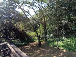 A forested area with a dirt path, a metal railing, and dense greenery.