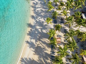 An aerial view of a beach with clear turquoise water, rows of palm trees, and sun loungers arranged in a line.