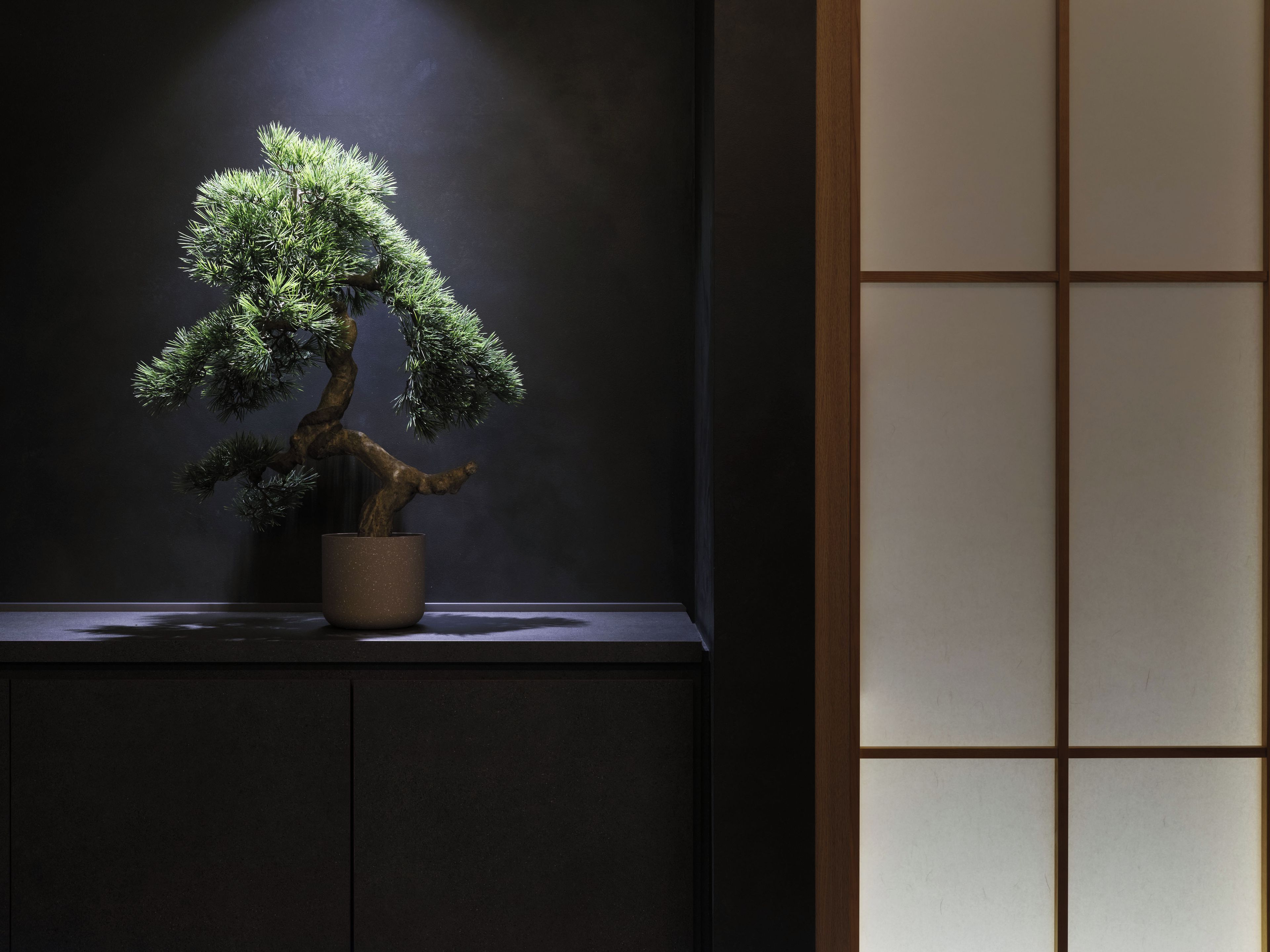 A bonsai tree in a pot on a dark surface with a wooden panel in the background.