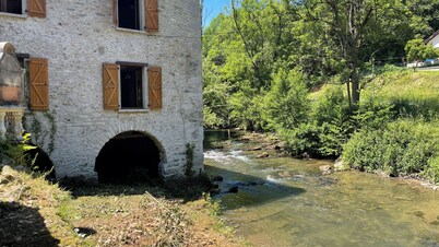 Moulin de la Ribereuille Pyrenees view and swimming pool