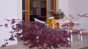 Une terrasse avec une table et des chaises, un petit arbre et une porte donnant sur un espace intérieur.