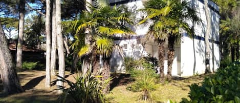 A building with a white exterior and a flat roof, surrounded by trees and palm plants.
