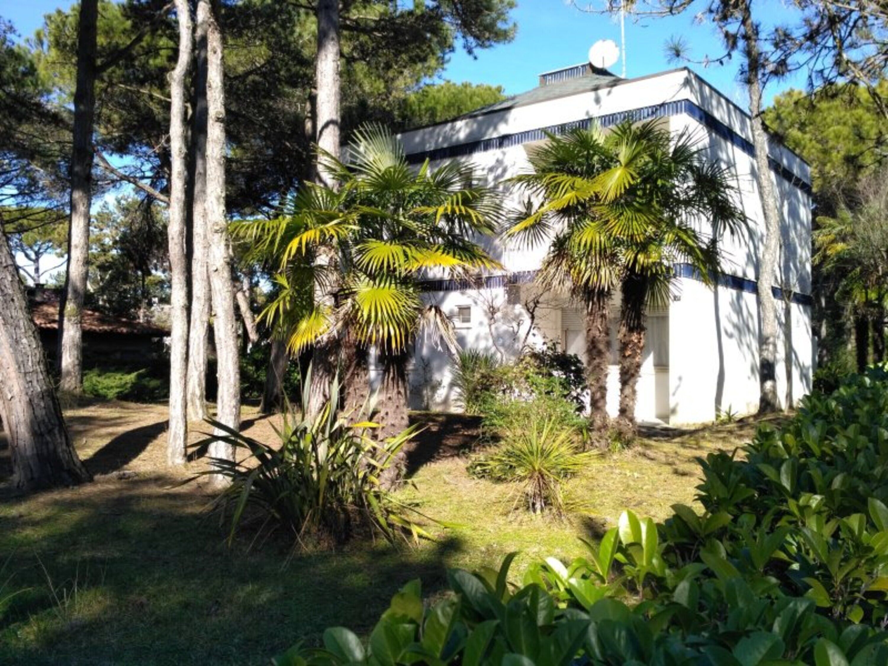 Um edifício com fachada branca e telhado plano, cercado por árvores e plantas de palmeira.