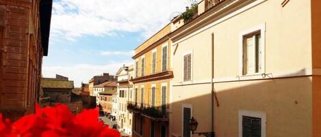 A narrow street with buildings on both sides, a clear sky, and a red flower in the foreground.