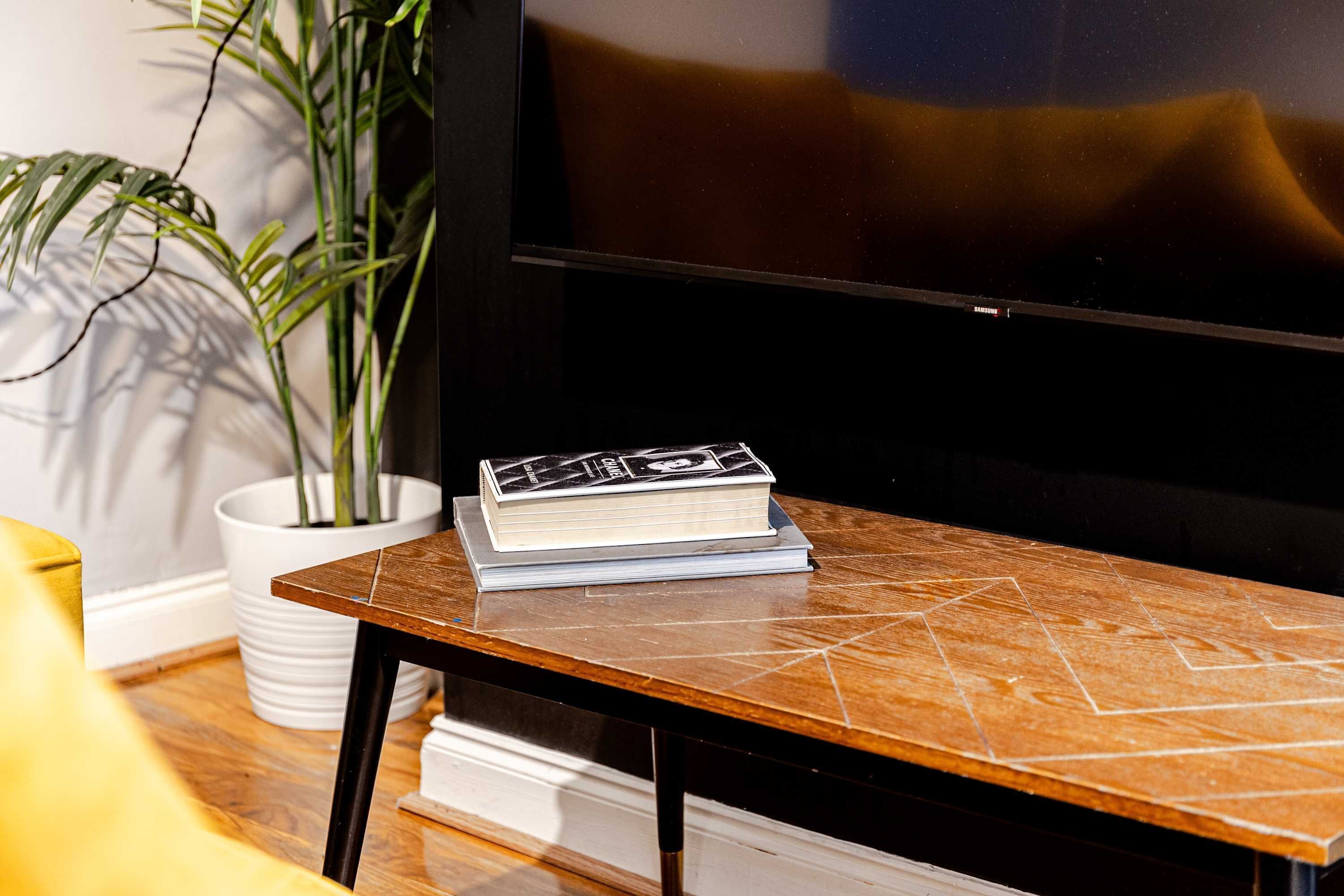 Une pièce avec un téléviseur, une table ornée d’un motif géométrique, une plante en pot et une pile de livres.
