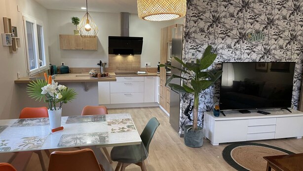 A modern kitchen with a TV, dining table, chairs, and a large plant.