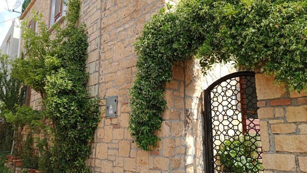 Un edificio de piedra con una ventana que presenta una celosía metálica geométrica, rodeado de abundante vegetación.