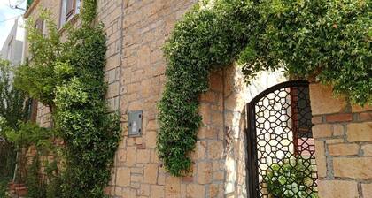 Detached, stone house with garden, 1+1 layout, magnificent view in Assos-Arıklı.