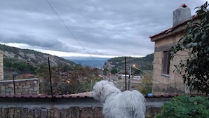 Un perro blanco sobre una repisa de piedra con vista a un pueblo costero de edificios de piedra y el mar.