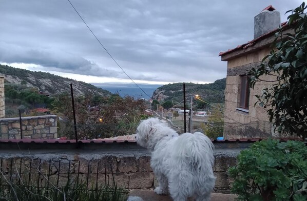 Ein weißer Hund sitzt auf einem Steinsims mit Blick auf ein Küstendorf mit Steinhäusern und Meerblick.