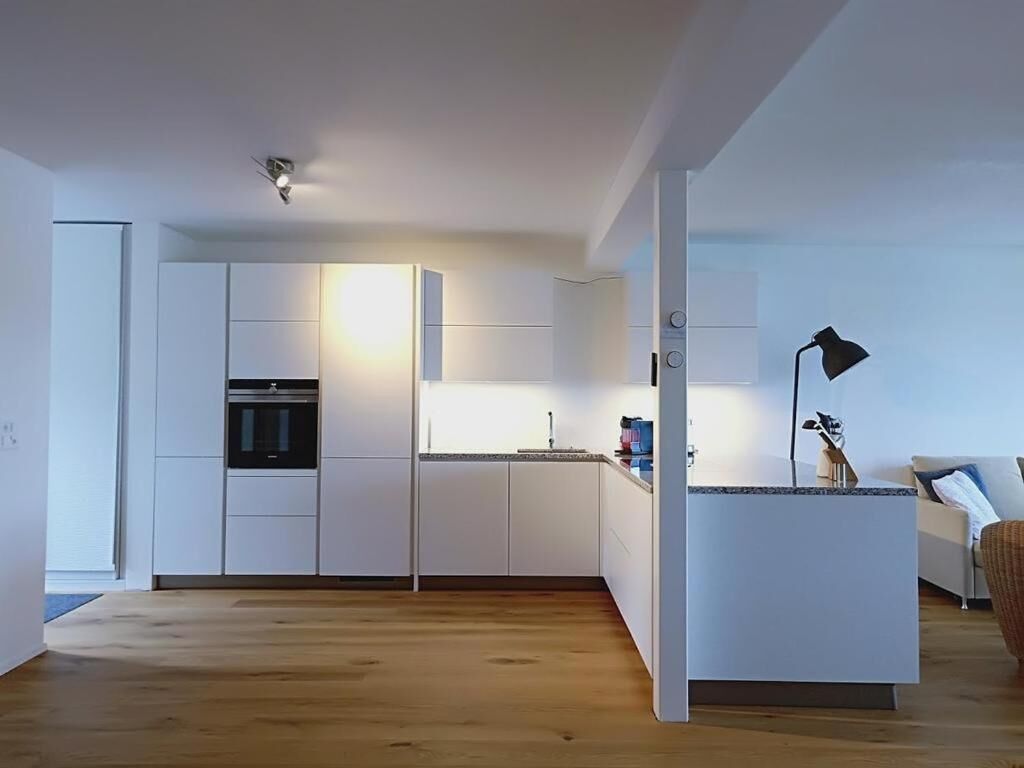 Apartamento superluxo, vista para o lago | Cozinha privada | Geladeira, micro-ondas, fogão, cooktop