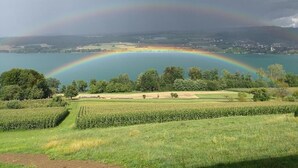 A landscape with a rainbow over a body of water, fields, and trees.