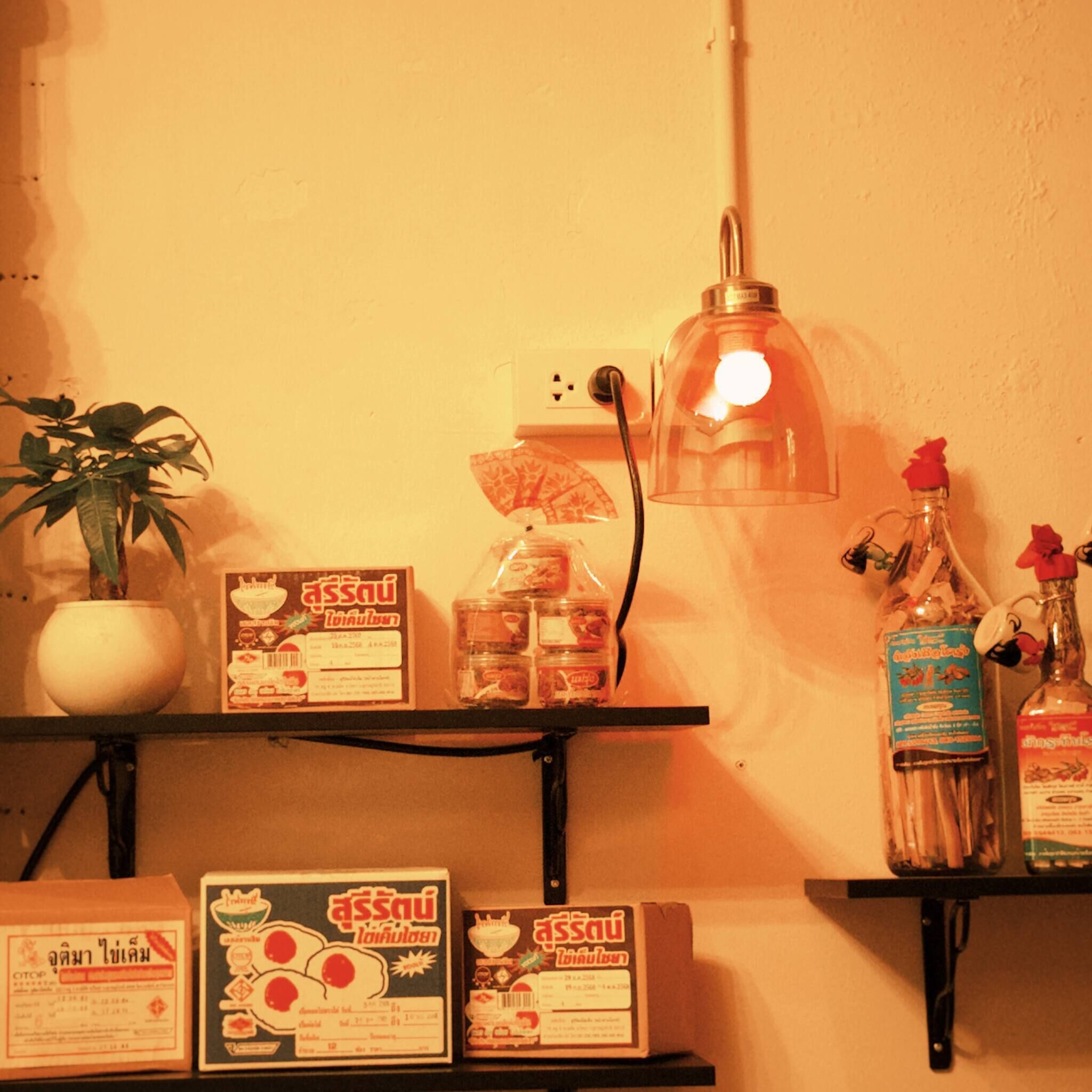 A shelf with food items, a potted plant, and a hanging lamp.