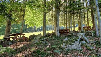 A forested area with picnic tables and rocks.