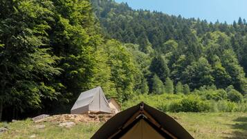Ein Campingplatz mit Zelten in einem grünen Feld, im Hintergrund Bäume.
