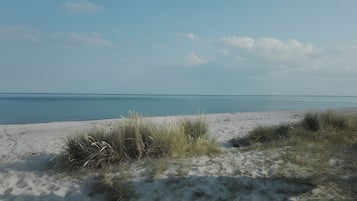 Ein Strand mit Dünen und freiem Blick auf den Ozean.