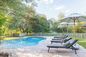 A swimming pool with lounge chairs and umbrellas, surrounded by trees and a wooden fence. - Limpopo-Lipadi Wildlife Reserve (Tsetsebjwe)