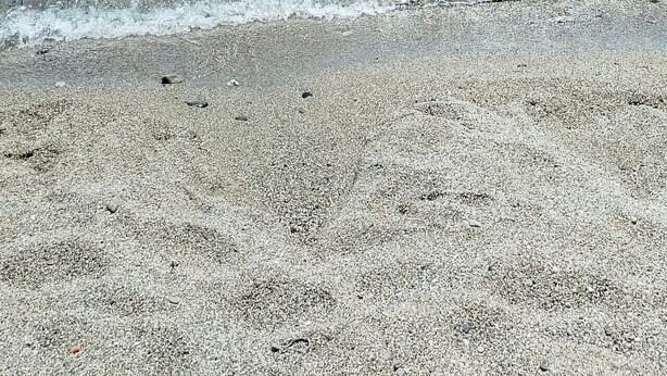 A beach with clear water, pebbly shore, and distant buildings. - Loving Gift - Giardini Naxos (Giardini Naxos)