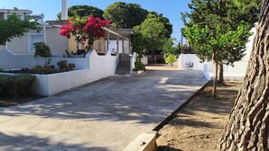 Une rue résidentielle bordée de maisons, avec un ciel dégagé et des arbres.