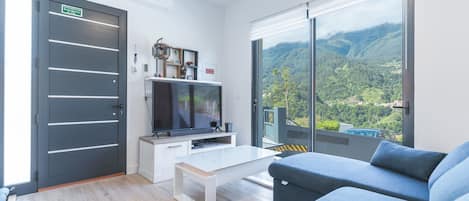 TV