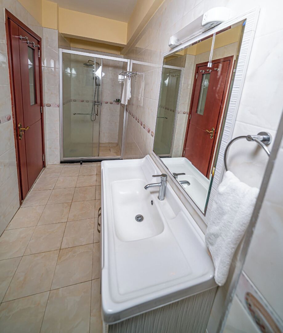 Deluxe Apartment | Bathroom | Free toiletries, towels, soap, toilet paper