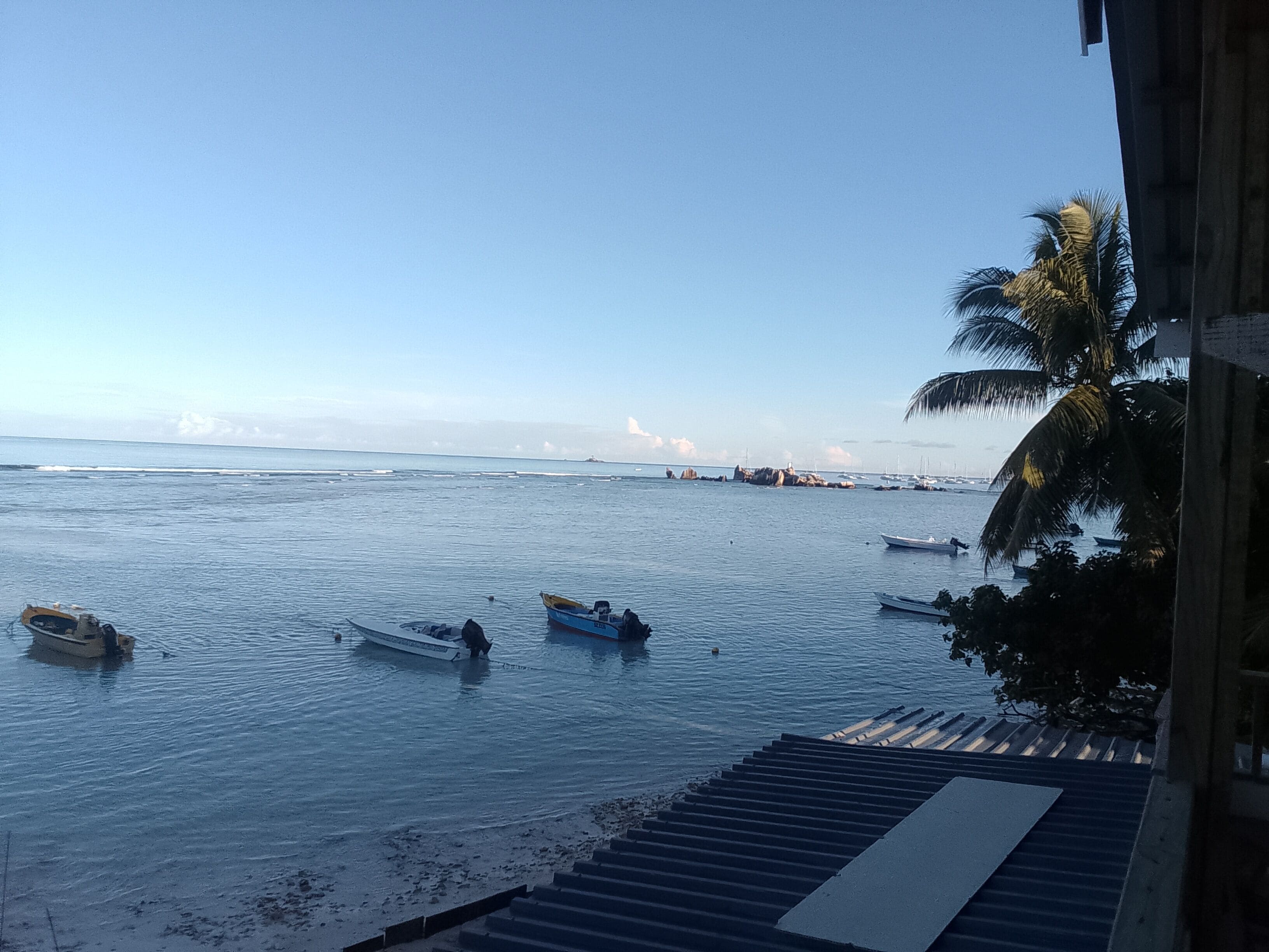 A coastal view with boats, a palm tree, and a distant lighthouse.
