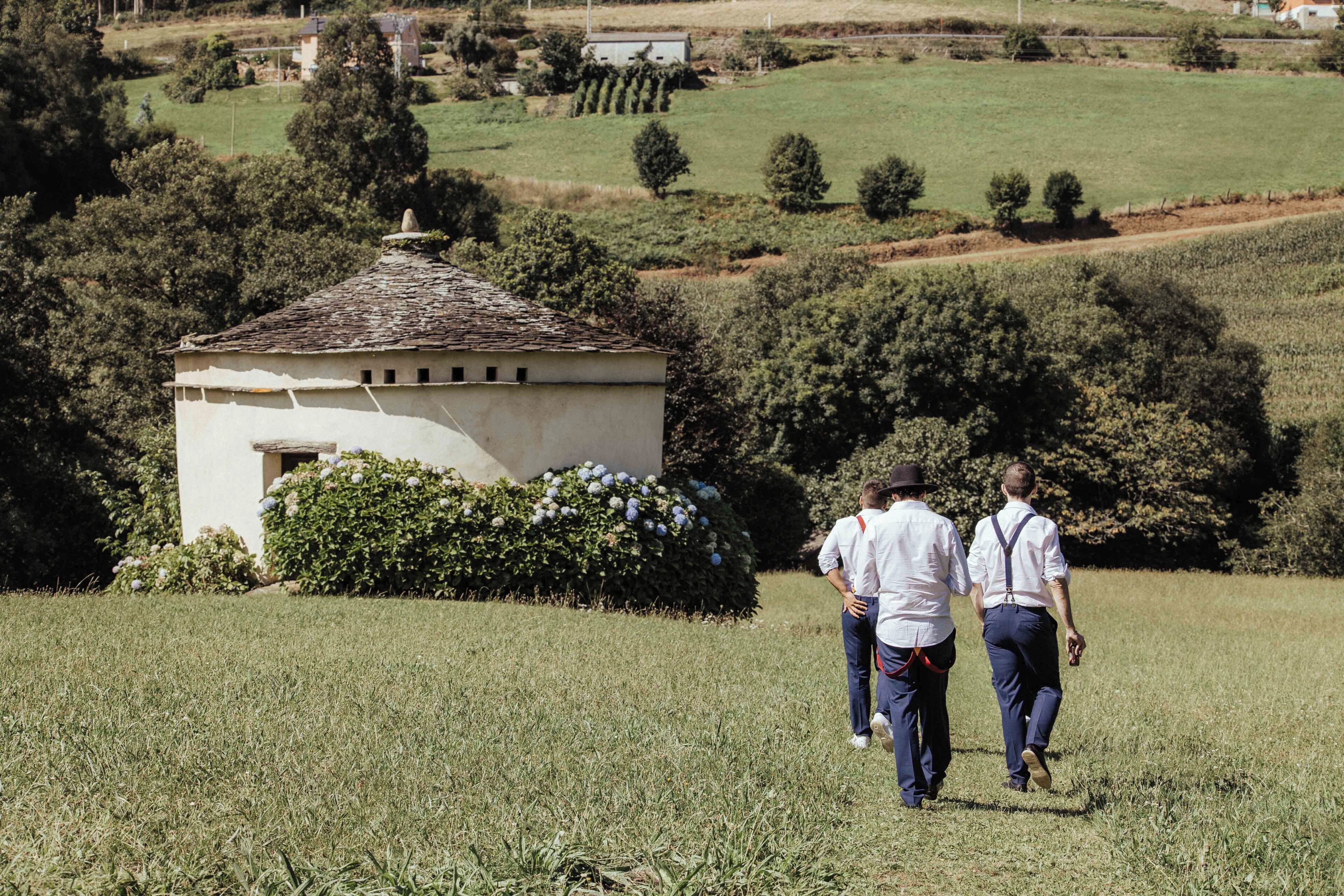 A rural landscape with a small white building, a grassy field, and trees.